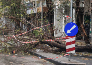 Σφοδροί άνεμοι στην Αττική - Κλήσεις στην Πυροσβεστική για κοπές δέντρων και αφαίρεση αντικειμένων