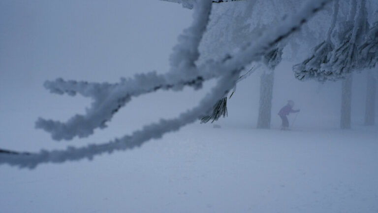 Σκηνές «πολικής αποκάλυψης» στη ρωσική Απω Ανατολή: Οι κάτοικοι σκάβουν τούνελ μέσα στα χιόνια - Δείτε βίντεο