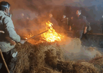 Θήβα: Άνοιξε η παλιά εθνική οδός - Αποχωρούν τα τρακτέρ (Βίντεο)