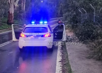 Ξερίζωσε δέντρα στα Χανιά ο αέρας
