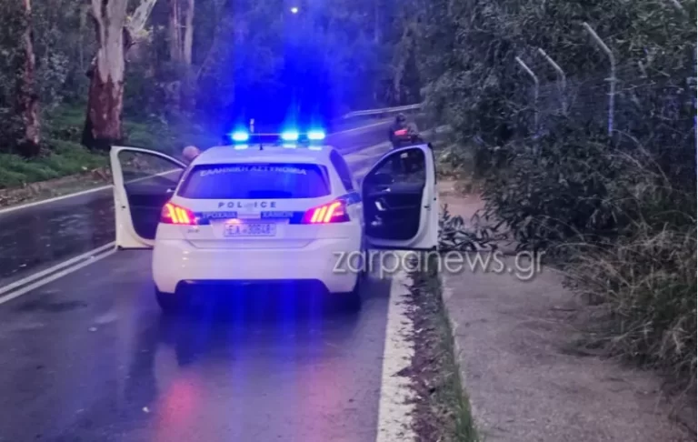 Ξερίζωσε δέντρα στα Χανιά ο αέρας