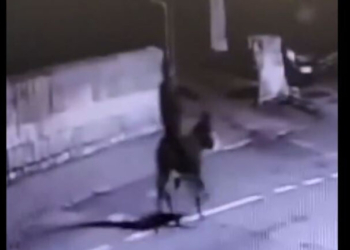 Ληστής κοσμηματοπωλείου στην Τουρκία, διαφεύγει καβάλα σε γαϊδούρι – Bίντεο