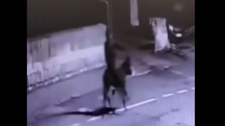 Ληστής κοσμηματοπωλείου στην Τουρκία, διαφεύγει καβάλα σε γαϊδούρι – Bίντεο