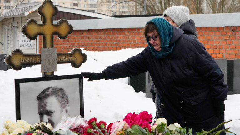 Μητέρα Ναβάλνι: Η ανακάλυψη τοξινών επιβεβαιώνει ότι δολοφονήθηκε