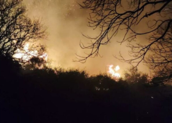 Οι καπνοί των πυρκαγιών σκοτώνουν πάνω από 24.000 πολίτες των ΗΠΑ κάθε χρόνο