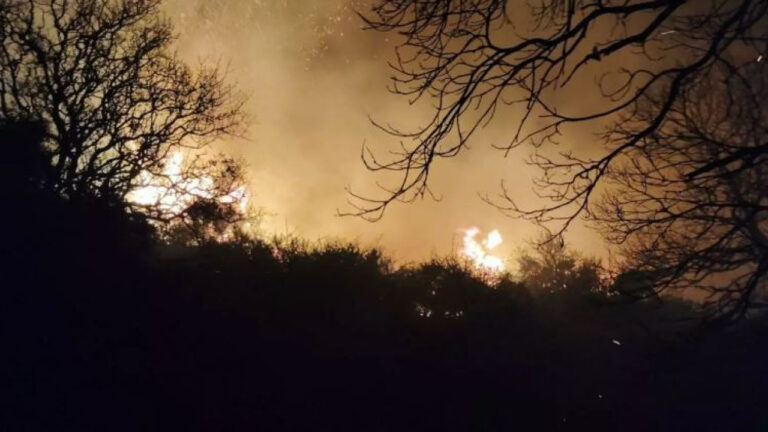 Οι καπνοί των πυρκαγιών σκοτώνουν πάνω από 24.000 πολίτες των ΗΠΑ κάθε χρόνο