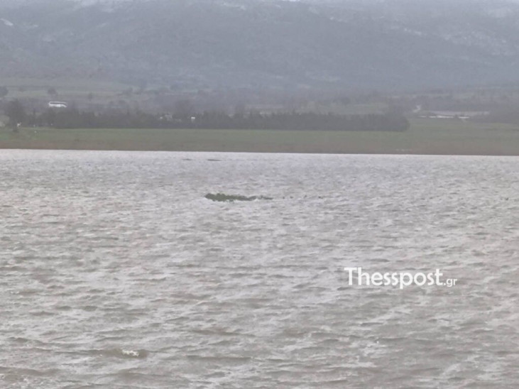 Έβρος πλημμύρες