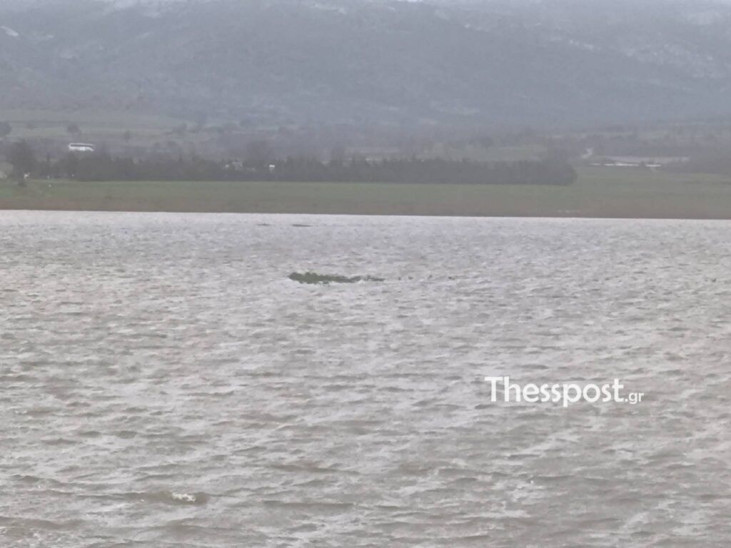 Έβρος πλημμύρες