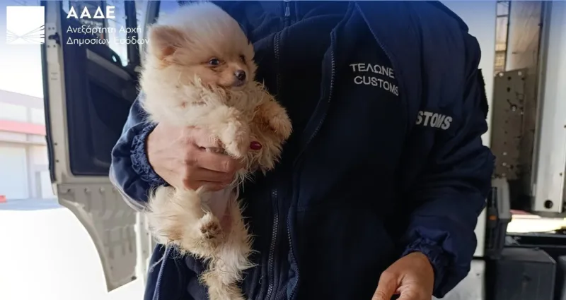 ΄''''''''''''''''''