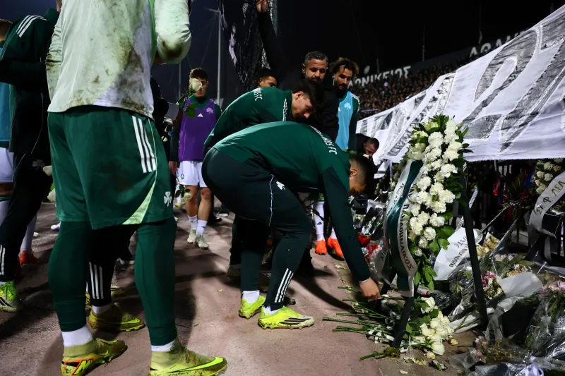 παο λουλουδια