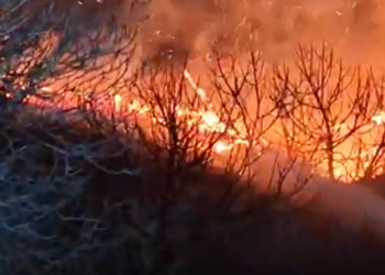 Θεσσαλονίκη: Φωτιά στο πρώην στρατόπεδο Κόδρα