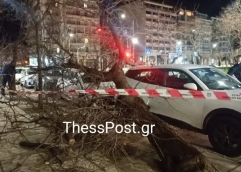 Θεσσαλονίκη: Οι θυελλώδεις άνεμοι ξερίζωσαν δένδρα - Ακυρώθηκαν πτήσεις από το αεροδρόμιο Μακεδονία