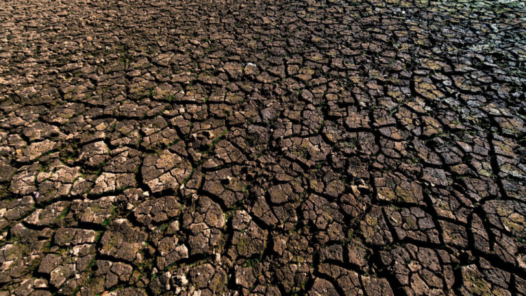 Θεσσαλονίκη: Συνελήφθησαν 4 άτομα που πέταγαν χώματα, μπετόν και πίσσα σε αγροτεμάχια στη Σίνδο