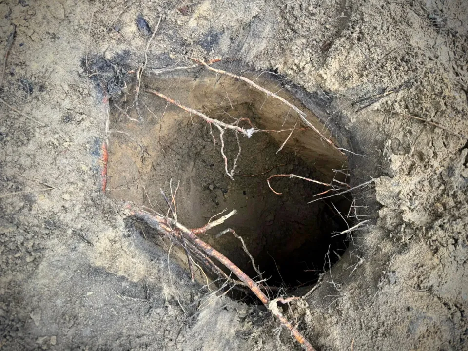 NINTCHDBPICT001061948658