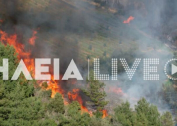 Ελαιώνας Πύργου: Μεγάλη δασική πυρκαγιά σε εξέλιξη