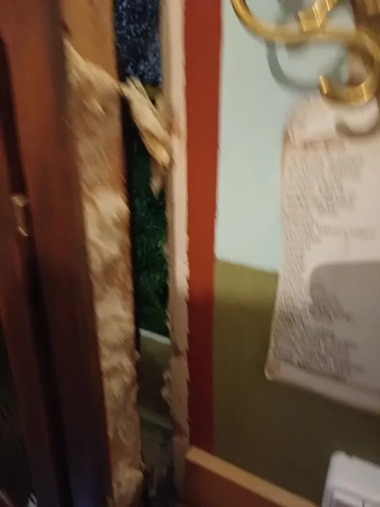 Εύβοια: Βίντεο-ντοκουμέντο από απόπειρα διάρρηξης σε ιερό ναό – Πώς τον έτρεψε σε φυγή ο συναγερμός