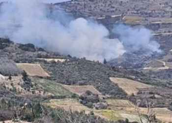 Πυρκαγιά στα Σοφιανά Κορινθίας