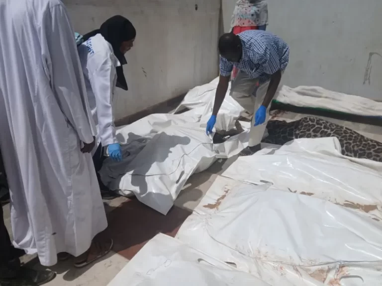 Σουδάν: Περισσότεροι από 60 νεκροί εξαιτίας πλήγματος σε κέντρο υγείας στο Νταρφούρ