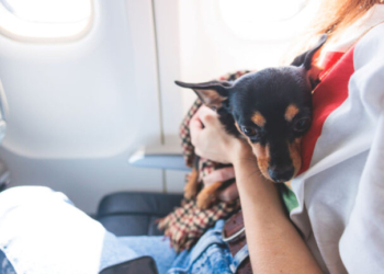 ΥΠΕΞ: Επιστρέφει σήμερα από Άμπου Ντάμπι η πτήση επαναπατρισμού με κατοικίδια