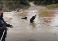 Χαλκιδική: Διάσωση δύο σκύλων που είχαν εγκλωβιστεί σε βράχους μέσα σε ποταμό