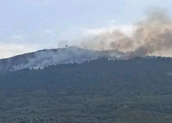 Δύο συλλήψεις από την Πυροσβεστική για πυρκαγιές από καύση κλαδιών σε Κορινθία και Αχαϊα