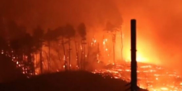 Έντονες πυρκαγιές στην Ιαπωνία: Εκκενώθηκαν πάνω από 3.000 κάτοικοι - Δείτε βίντεο