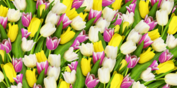 Εορτολόγιo: Ποιοι γιορτάζουν σήμερα, 27 Απριλίου