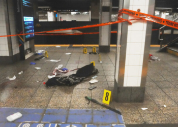 Επίθεση άντρα με ματσέτα σε 3 ανθρώπους στο μετρό της Νέας Υόρκης - Βίντεο