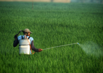 Έρευνα: Ισχυρός συσχετισμός μεταξύ φυτοφαρμάκων και κινδύνου εμφάνισης καρκίνου