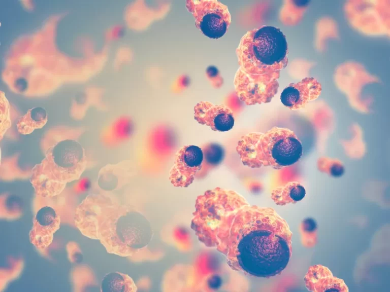 Καρκινικά κύτταρα