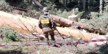 Ευρυτανία: Εντοπίστηκε χειροβομβίδα του Β' Παγκοσμίου Πολέμου - Δείτε φωτογραφίες