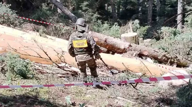 χειροβομβιδα