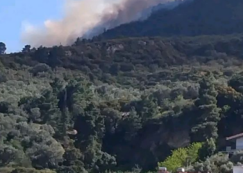 Φωτιά στην περιοχή Άμπελος Ακράτας στην Αχαΐα - 112 για τους κατοίκους της Άνω Ποροβίτσας