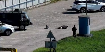 Γερμανίδα συνελήφθη στη Ρωσία με βόμβα - Δείτε βίντεο