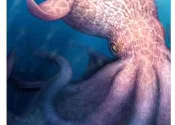 Γιγαντιαία χταπόδια-θηρευτές στους ωκεανούς πριν από 100 εκατ. χρόνια- Δείτε φωτογραφίες