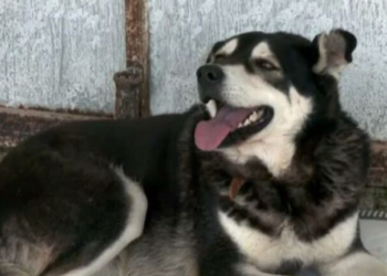 Η συγκλονιστική ιστορία του Όλιβερ που ζούσε δεμένος μέσα σε ένα βαρέλι