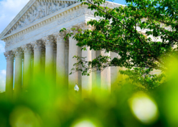 ΗΠΑ: Διαδηλώσεις κατά των φυτοφαρμάκων έξω από το Ανώτατο Δικαστήριο, εν μέσω υπόθεσης της Bayer