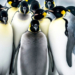 Και επισήμως στα «απειλούμενα» είδη ο αυτοκρατορικός πιγκουίνος