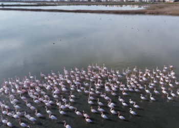 Λιμνοθάλασσα Καλοχωρίου: Ανεξέλεγκτη απόθεση μπάζων και σκουπιδιών