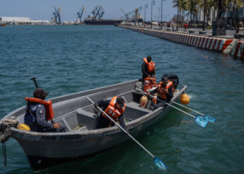 Μεξικό: Ακτιβιστές που αναζητούν εξαφανισμένους ανθρώπους, ανακάλυψαν περισσότερα από 1.000 θραύσματα οστών