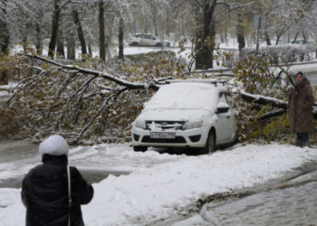 Μόσχα: Aνοιξιάτικη χιονοθύελλα, με πτήσεις να ακυρώνονται και δέντρα να ξεριζώνονται - Δείτε βίντεο