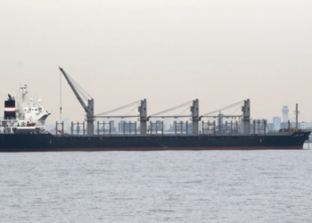 Ουκρανία: Ο πρεσβευτής του Ισραήλ στο Κίεβο κλήθηκε στο ΥΠΕΞ μετά την άφιξη πλοίου με σιτηρά από κατεχόμενα ουκρανικά εδάφη