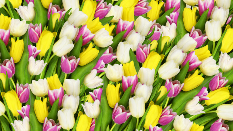 Ποιοι γιορτάζουν σήμερα 20 Απριλίου