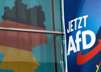 Πρώτη η AfD σε νέα δημοσκόπηση - Δυσαρέσκεια πολιτών για την ακρίβεια