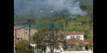Πυρκαγιά στον Πλατανιά Σκιάθου