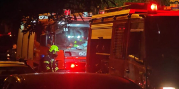 Πυροσβέστες διέσωσαν ηλικιωμένη και τέσσερα σκυλιά σε φωτιά στην Καλλιθέα