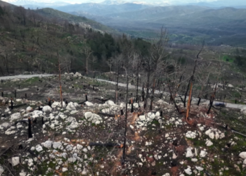 Ρόδος: Οι άνθρωποι που διέσωσαν τουρίστες και έσβηναν τις φλόγες στη μεγάλη φωτιά
