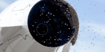 Βρετανία: Σμήνος μελισσών έκλεισε για 6 ώρες πύλη του αεροδρομίου Gatwick - Δείτε βίντεο