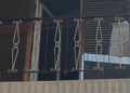 Αγίοι Ανάργυροι: Υποσιτισμένα τα 3 παιδιά που ζούσαν στο σπίτι-τρώγλη - Είχε γίνει καταγγελία και στο παρελθόν