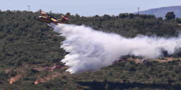 Αντιπυρική Περίοδος 2026: Ενημερωτική καμπάνια για τον καθαρισμό οικοπέδων και την πρόληψη πυρκαγιών
